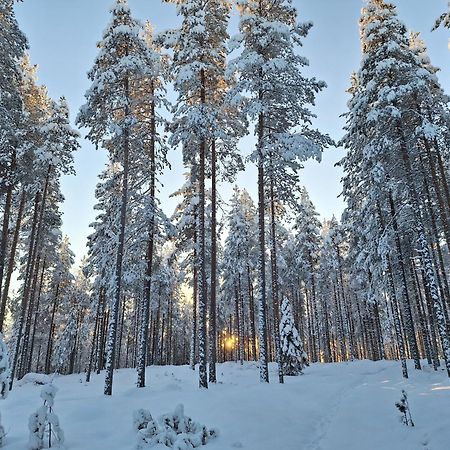Villa Aleksi With Sauna Rovaniemi Bagian luar foto